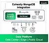 Cohesity MongoDB integration