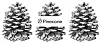Pinecone teaser.