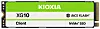 Kioxia XG10.